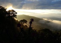 Meripearl Ch Paorampai